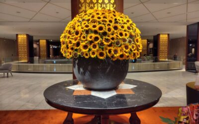 国宝（ブログ）